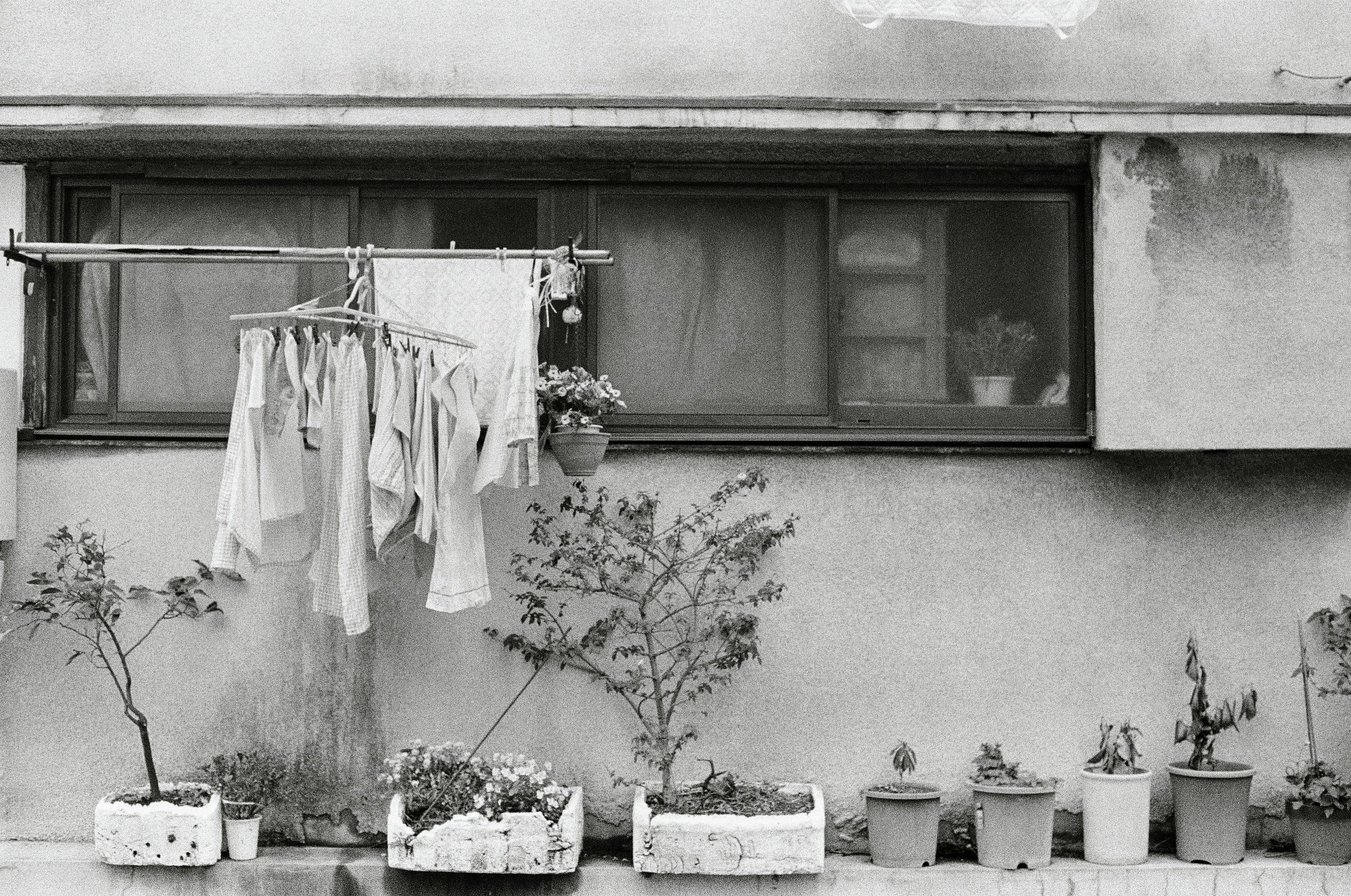 Laundry hangs outside a window with pot plants lined on the wall next to it.